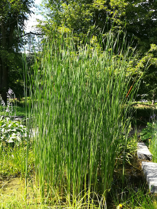 007 - IMG_20190714_131603