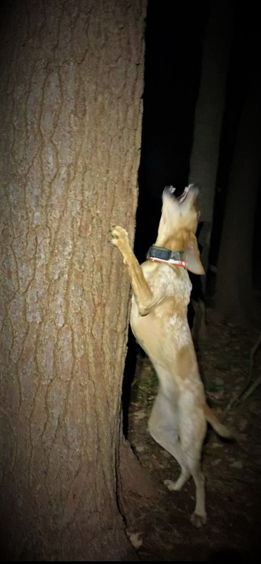 Resized_IMG_4089 (1)