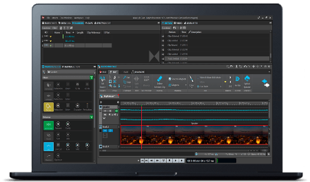 Steinberg WaveLab Cast 1.3 SWC13