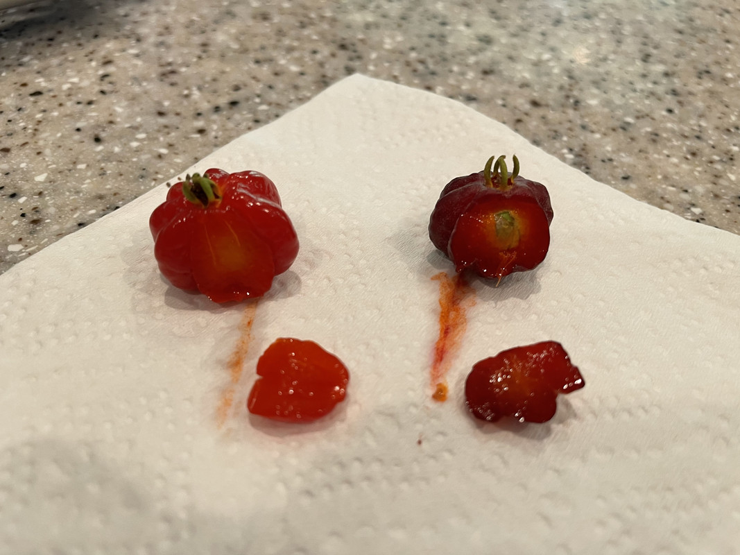 C69A3C78-A41F-4A6E-9C55-EFE4F3CAB90E