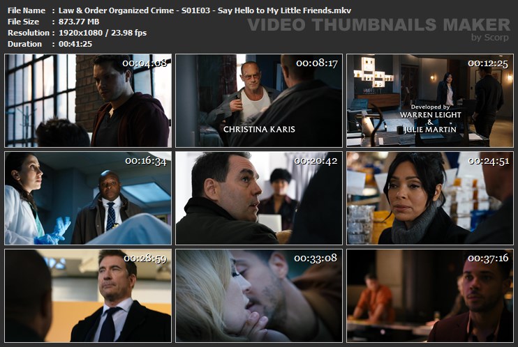 Law & Order Organized Crime - S01E03 - Say Hello to My Little Friends.mkv