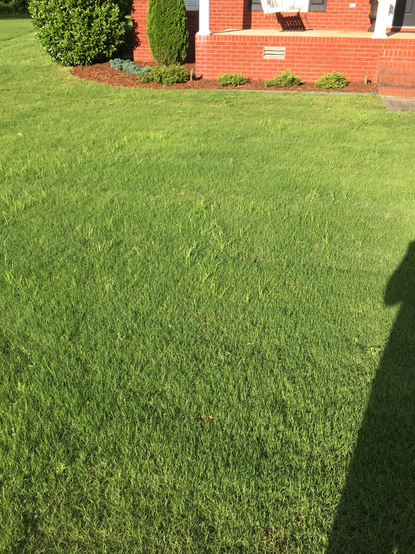 5418A5CC-6A79-4354-BD9A-8BA7829EDB2B