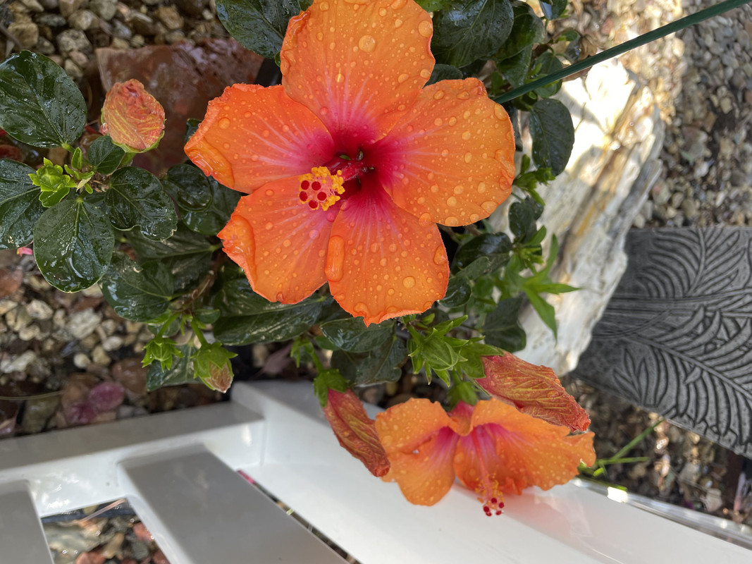 39A4570C-ABF2-4E6B-B363-C51C766BBF6F