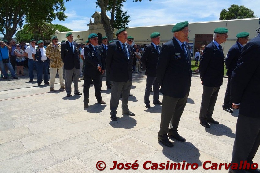 19023418_1447218055317551_772136931715553758_o