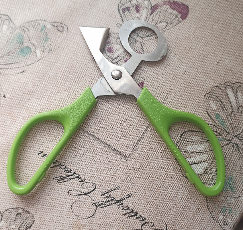 IMG_20230922_110327~2