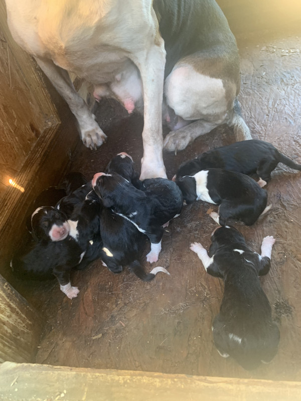 6EA88879-48F3-40BA-ADDE-2C0E8E59AE74