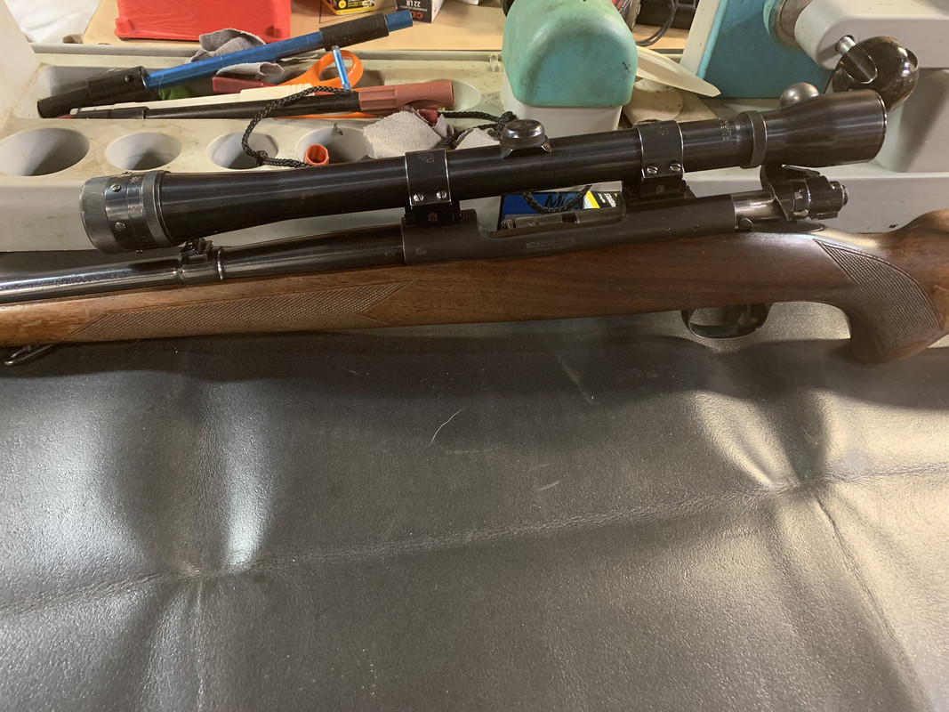 8C246603-D8A2-401C-BAF5-C98B1C8C9B2D