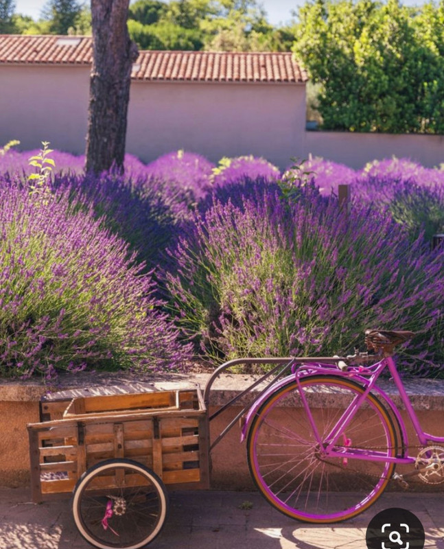 Screenshot_20230717_224900_Pinterest