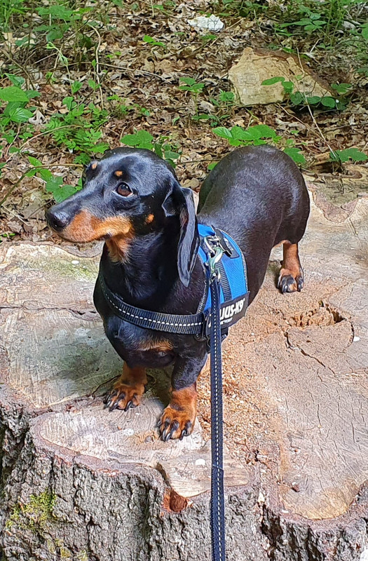 [Image: IMG-20220508-WA0003.jpg]