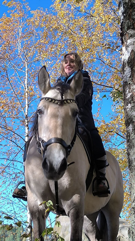 3C47EDF7-7EAC-4356-B0D9-D2D352231DCA