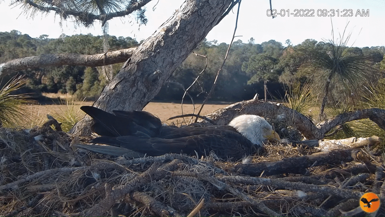 Webp.net-gifmaker (3)