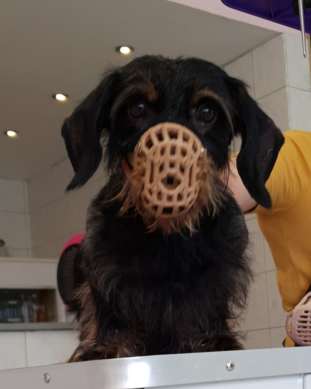 [Image: 20210709-113337.jpg]