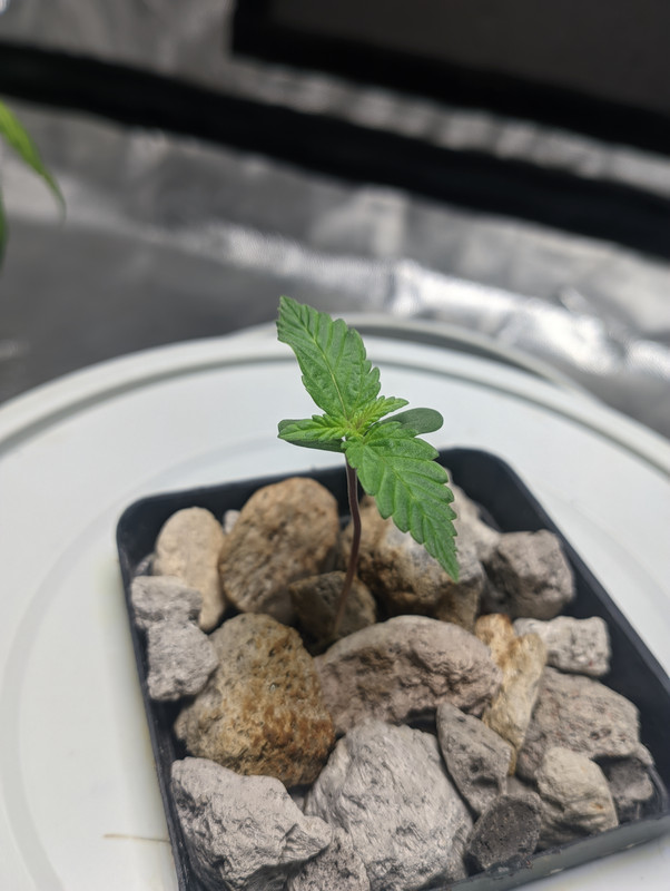 PXL_20230113_171716574