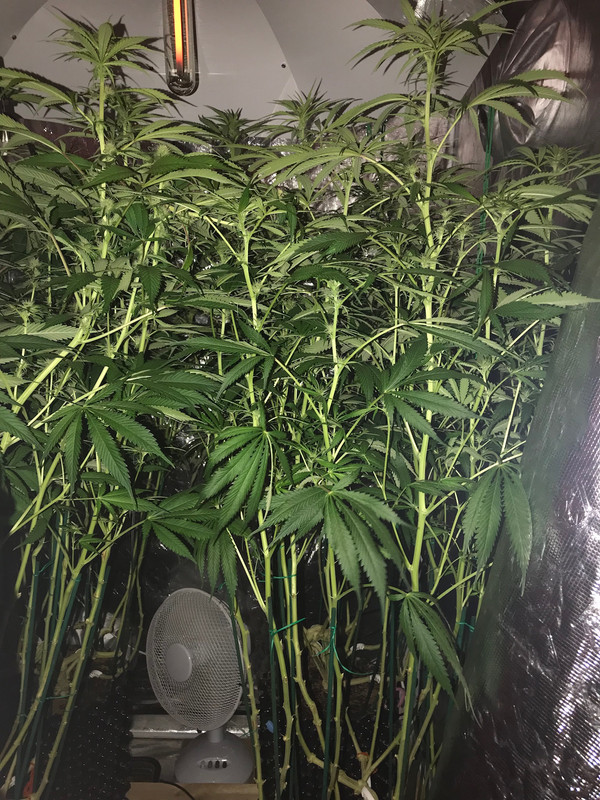 71080888-B8B9-4E03-9E70-759DB94B74DD