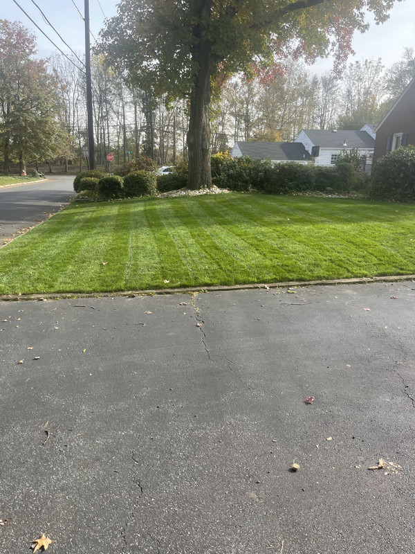 F2E8C87A-1B6A-4A26-ABC6-05054F14C55C