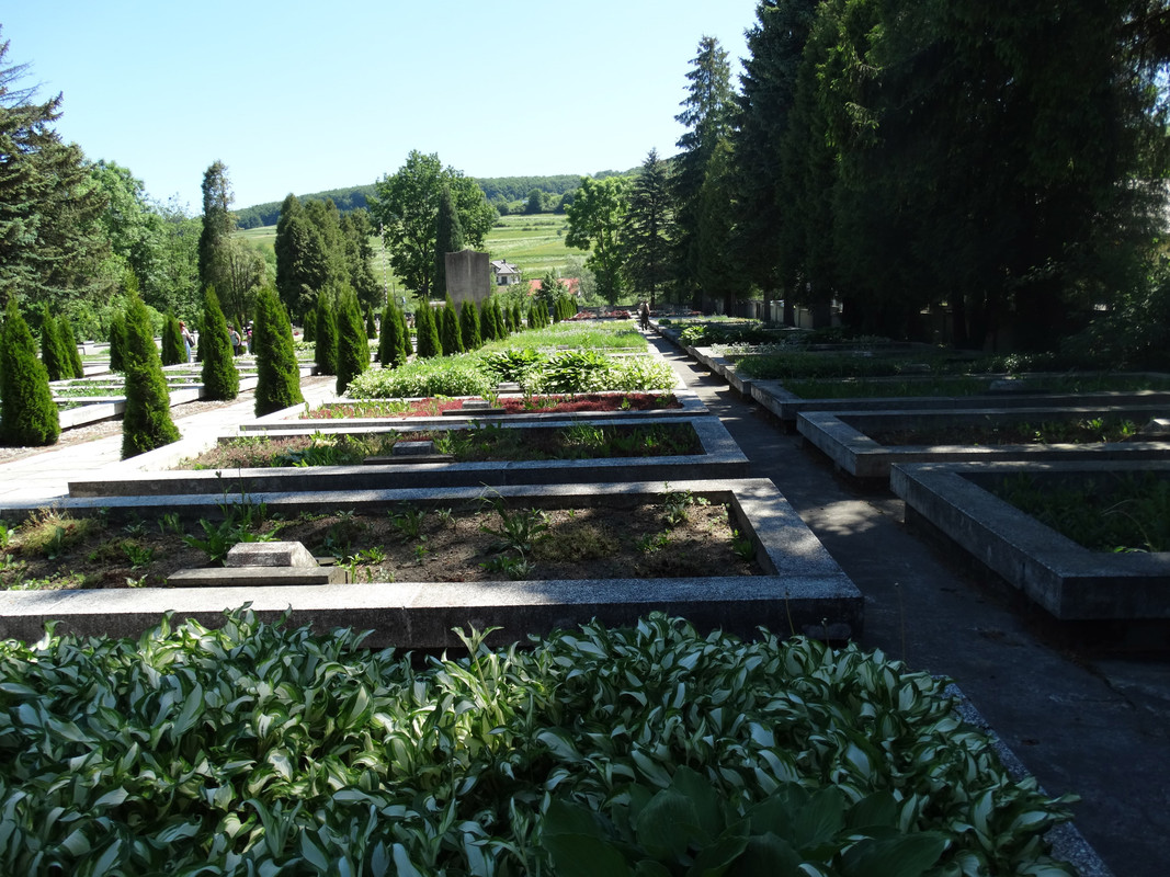 173 - DSC01454 (Lolo)