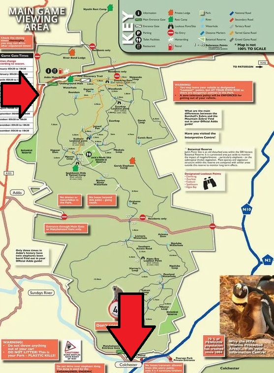 Такая близкая Африка. (ЮАР. 22 дня и 4200 км. Ноябрь-Декабрь)