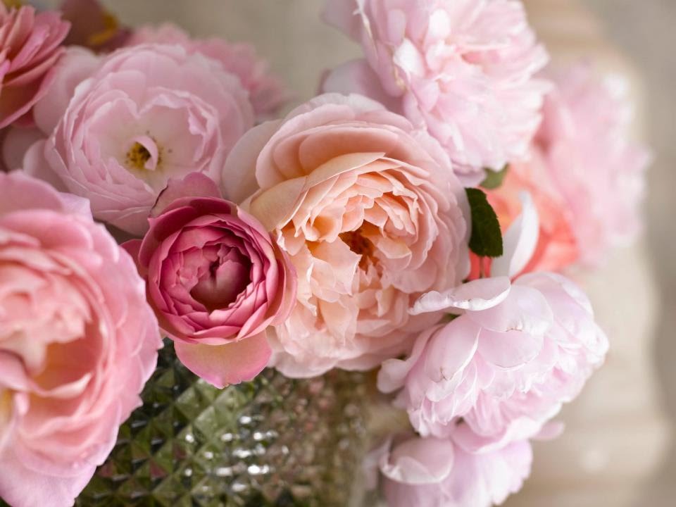 [Image: maxresdefault-2.jpg]