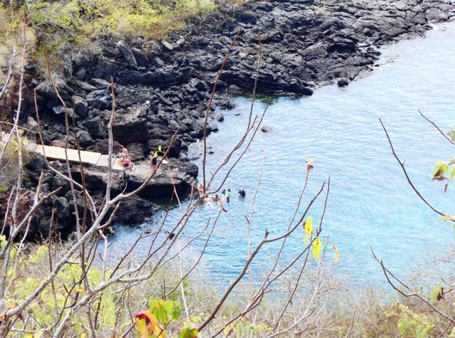 Día 15 (2 de julio): Playa Man, Punta Carola y Cerro Tijeretas - Galápagos 2022 (5)