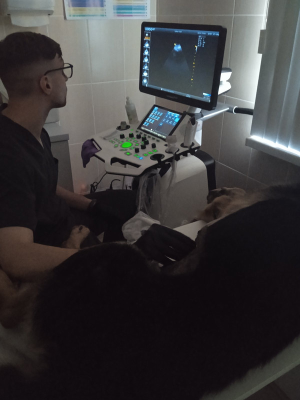 1E33D398-F9BE-409C-B354-0B5B88D21EA3