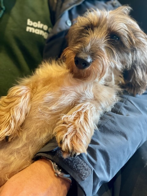 [Image: IMG-20240101-180249.jpg]