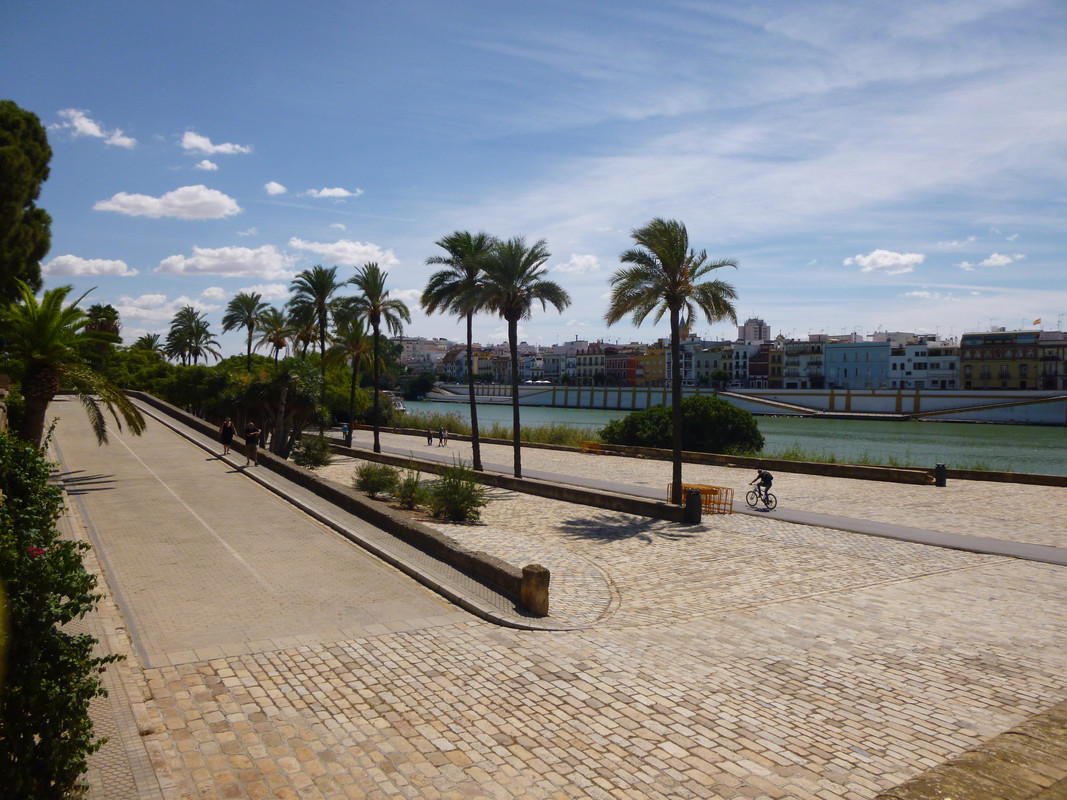 View from one side of the Guadalquivir to the other.  There are palm tress on this side, alongside cobblestones and a cyclist.  There is a structure in the middle of the river and buildings on the other side.