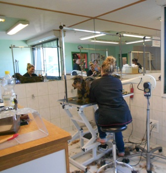 [Image: DSCN3644.jpg]