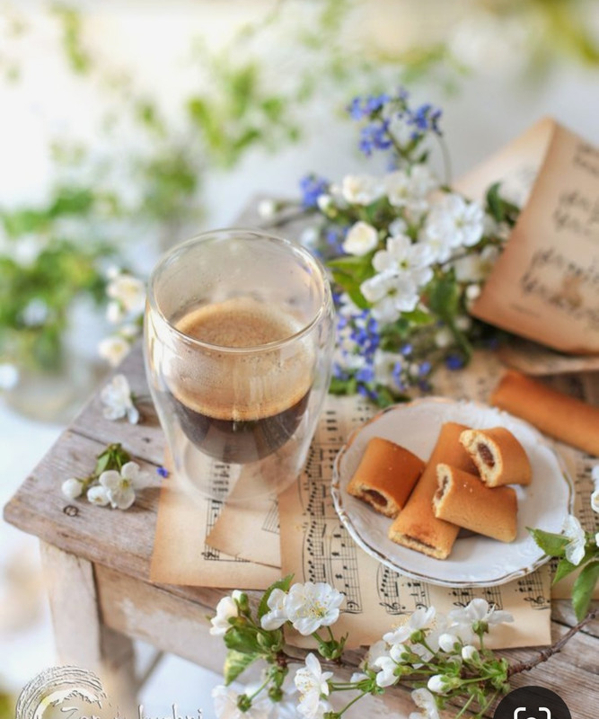 Screenshot_20230731_235416_Pinterest