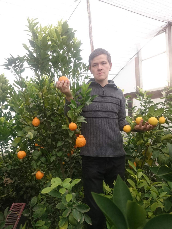 IMG_20160420_153357_0