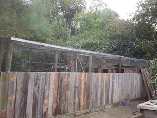 Wellies-and-fencing-020.jpg