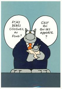 [MARDI] - Le Chat - Page 9 2018-11-14-lc-01