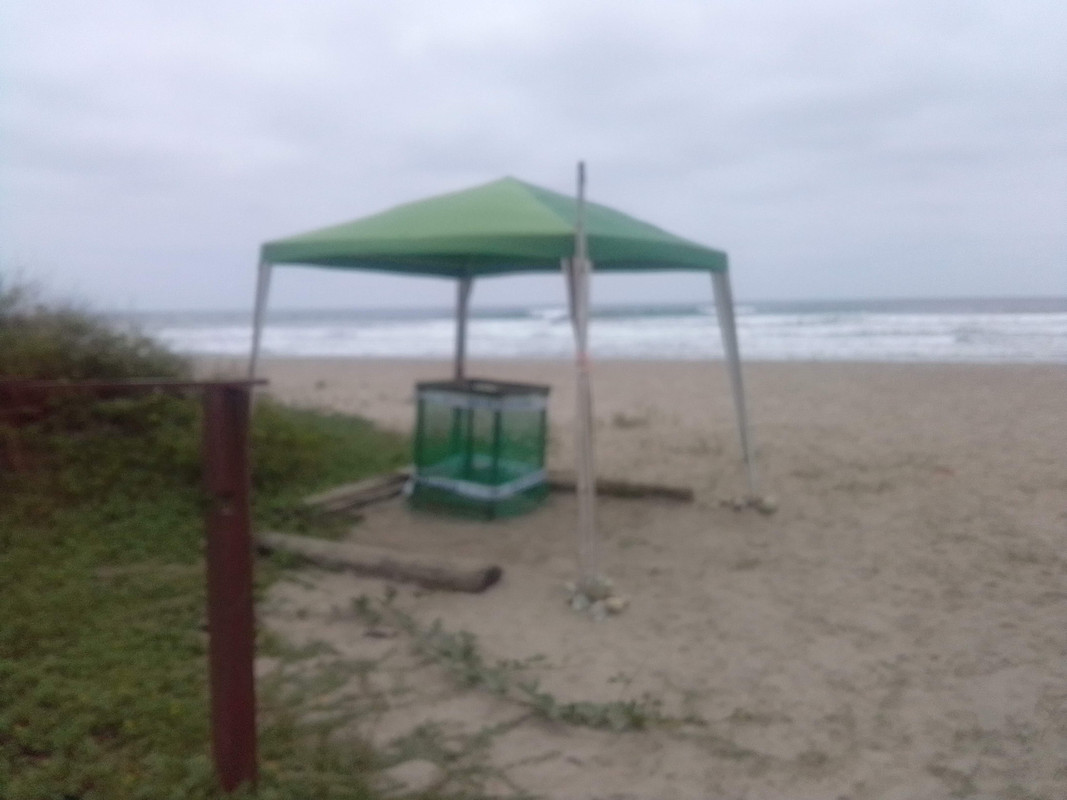 IMG_20220921_122152_HDR