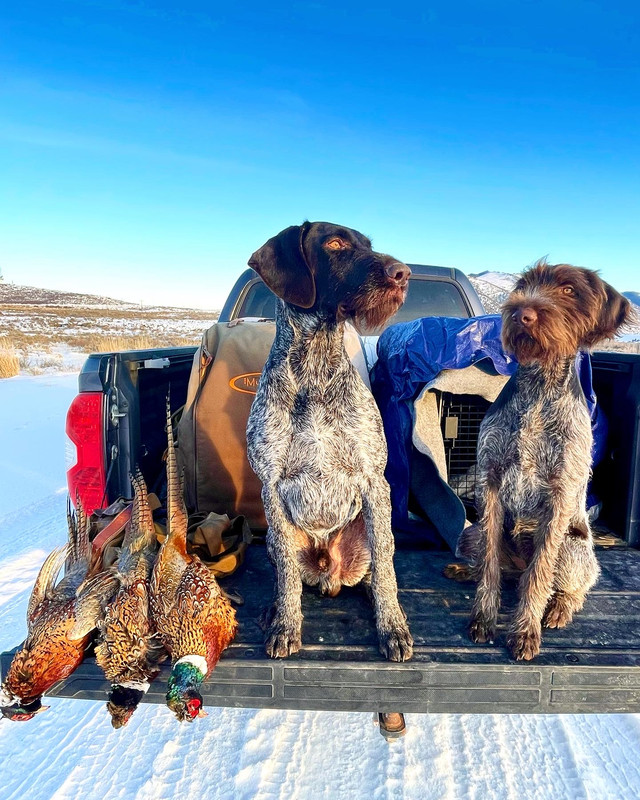 9254D20B-853F-43CB-A420-C58A8E7FC336