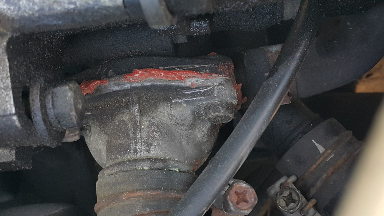 20201001_130707 (Large)