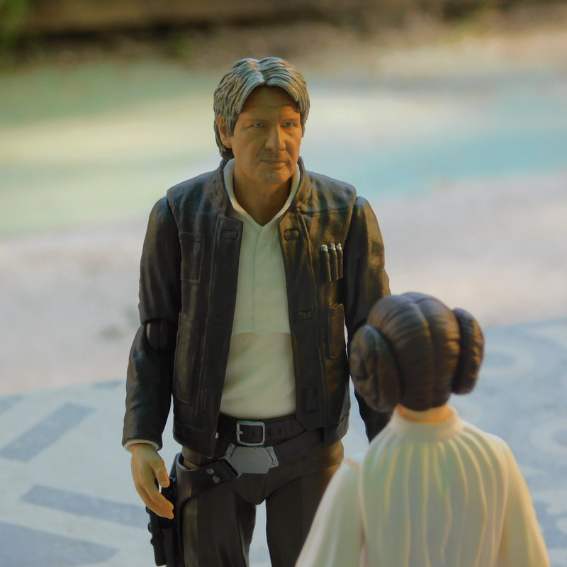 Дачно-Харлинский июнь-июль 2024 249