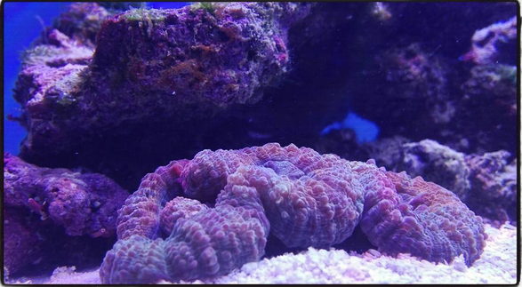 Cattura di schermata (50)