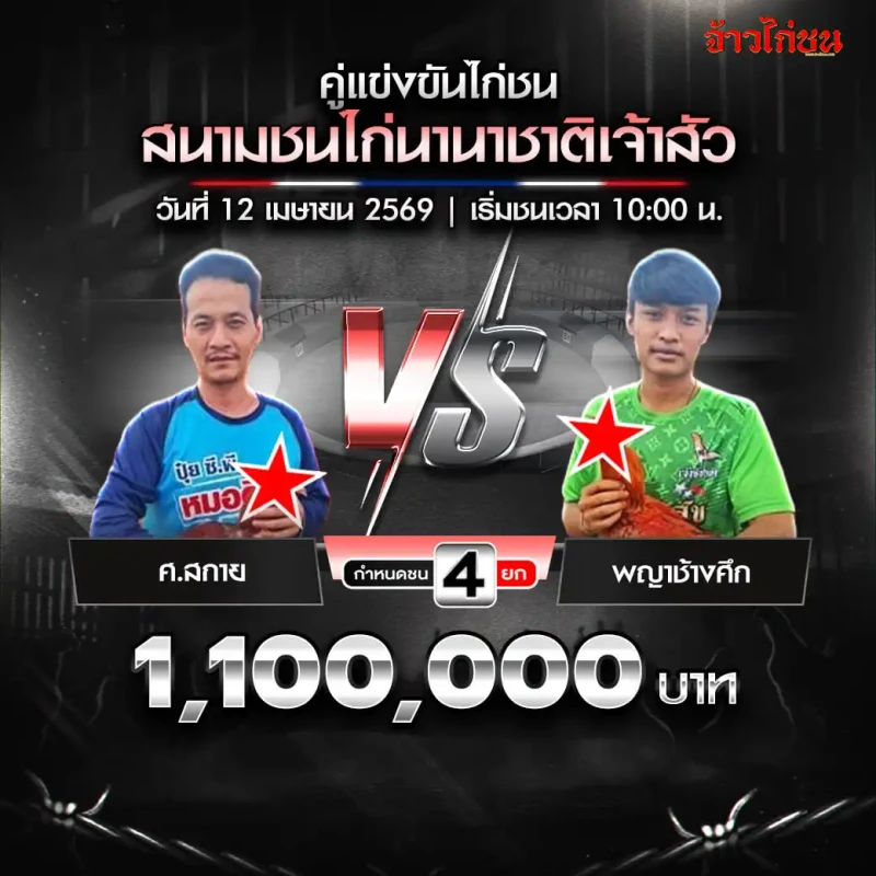 โปรแกรมไก่ชน สนามนานาชาติเจ้าสัว 12 เมษายน 2569 ศ.สกาย vs พญาช้างศึก