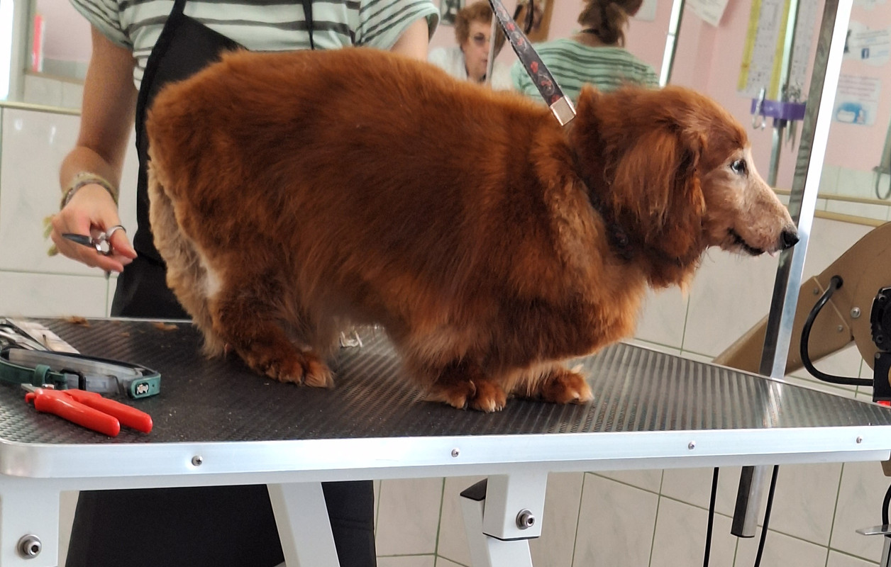 [Image: 20230920-160435.jpg]