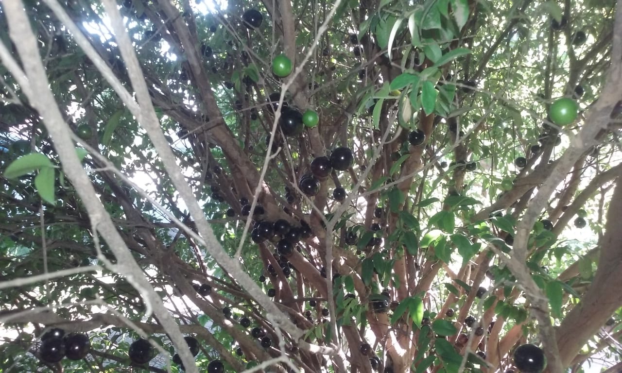 54031625-dd5a-4ee1-8632-f35939c4c022