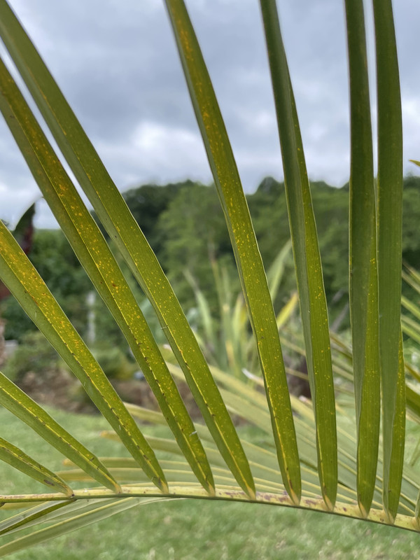 E69135B1-B2AD-4D7A-A58E-3958F715BE30