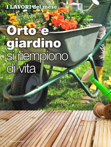 il Mio Giar Apr 2020 (5)