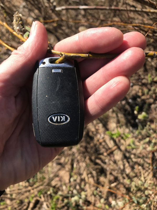 66EF113B-189D-41E7-8E37-F251C06C5865