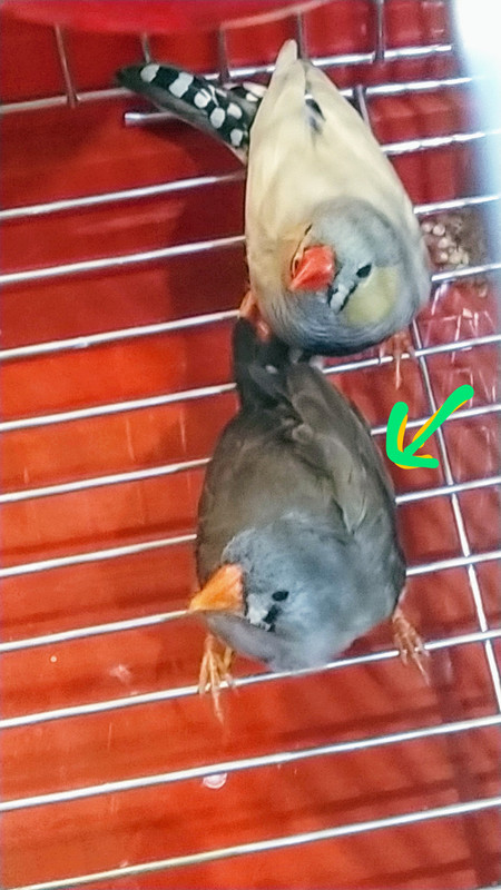 IMG_٢٠٢٠٠٧٢١_١٢١٢١٦~2