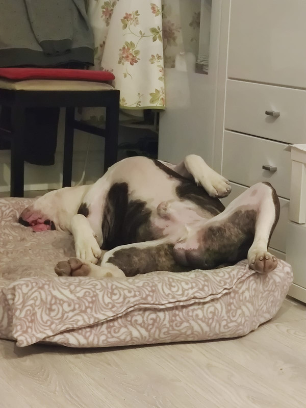 84FD0859-B4A0-486D-9D51-D84F1DB13D9B