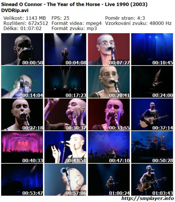 Sinead O Connor - The Year of the Horse - Live 1990 (2003)