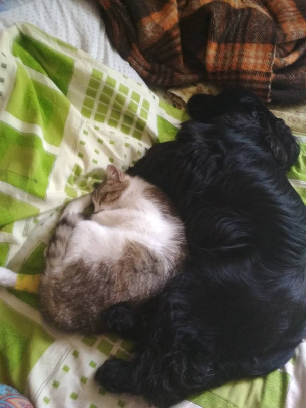 IMG-861f69b26dc5cbb66f29c1110b4ed8ce-V