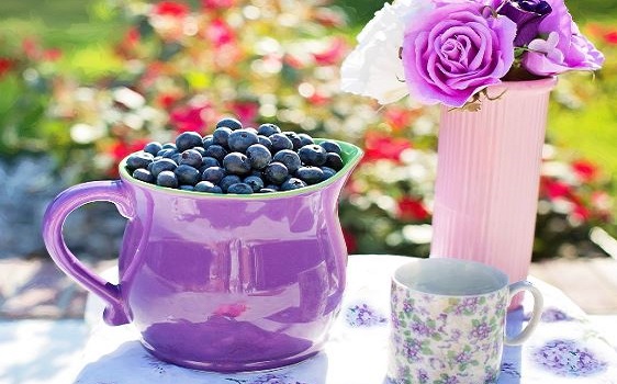 can parrots have blueberries