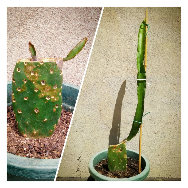 0497AB70-1BD3-4379-AD3C-E889827F6855