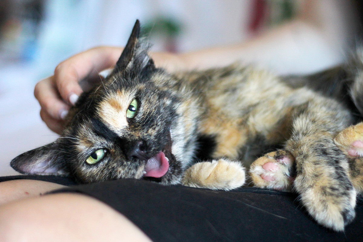 IMG_4217 — копия