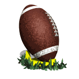 Football-in-grass-small